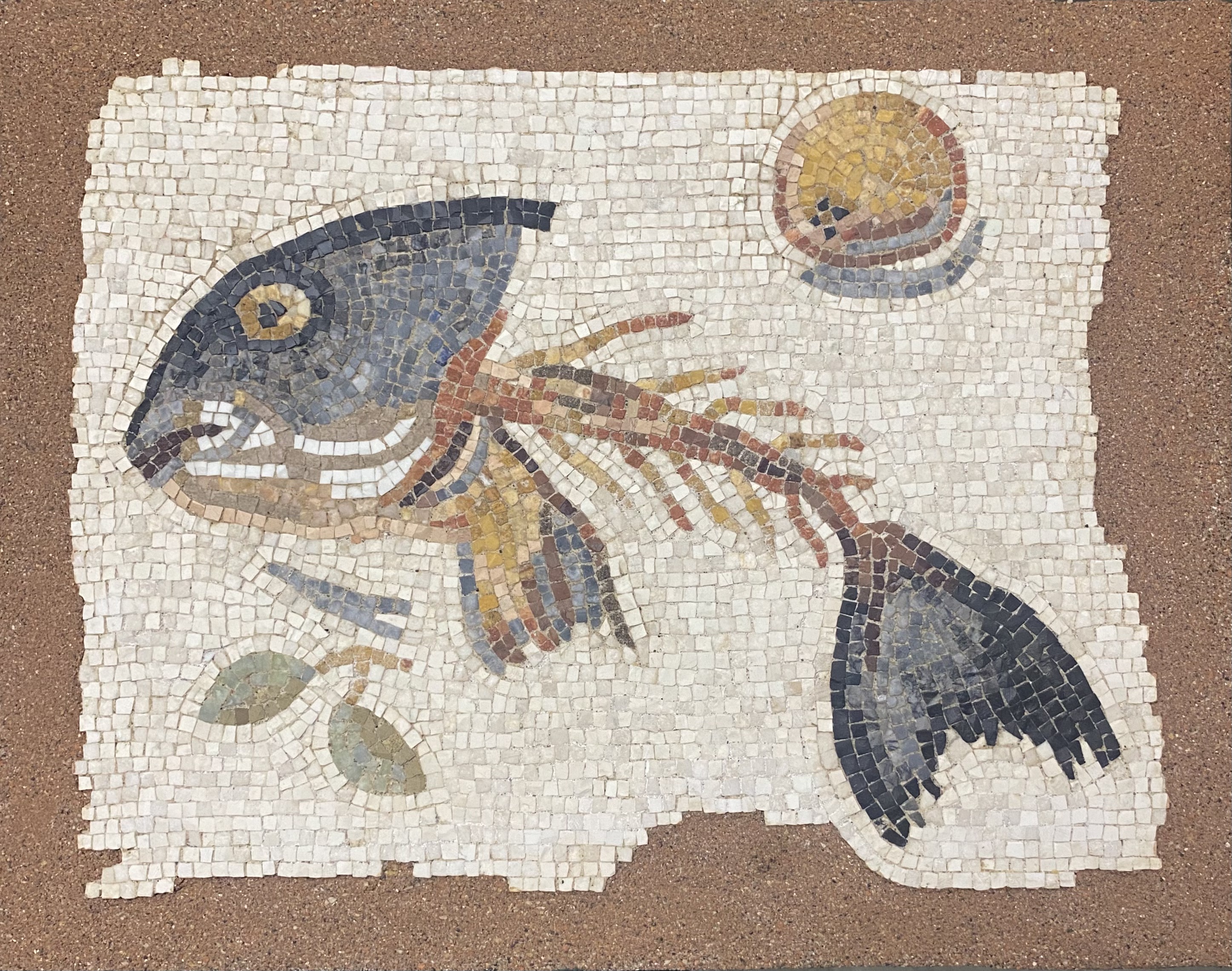 Lisca di pesce