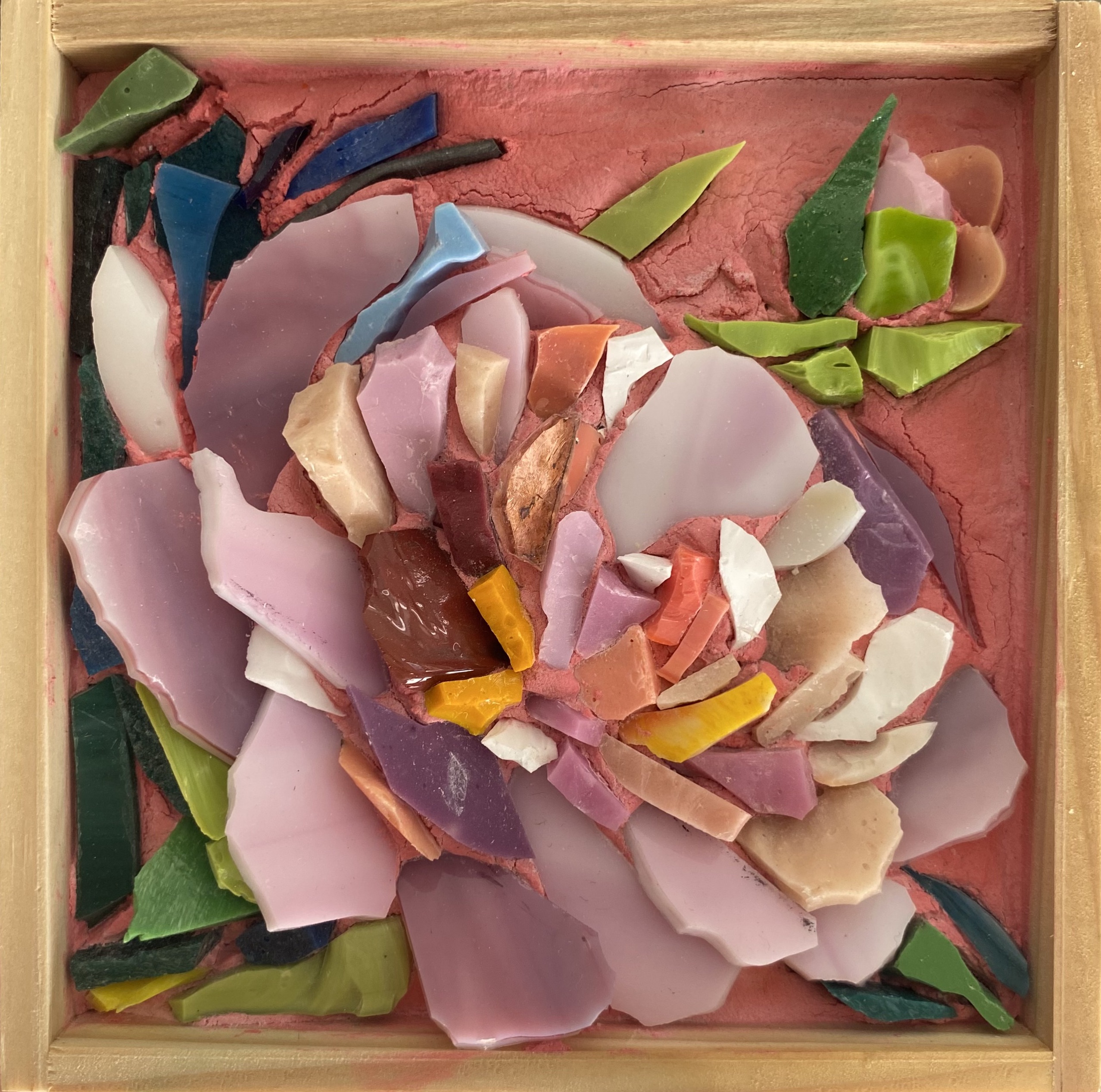 Peonia in fiore