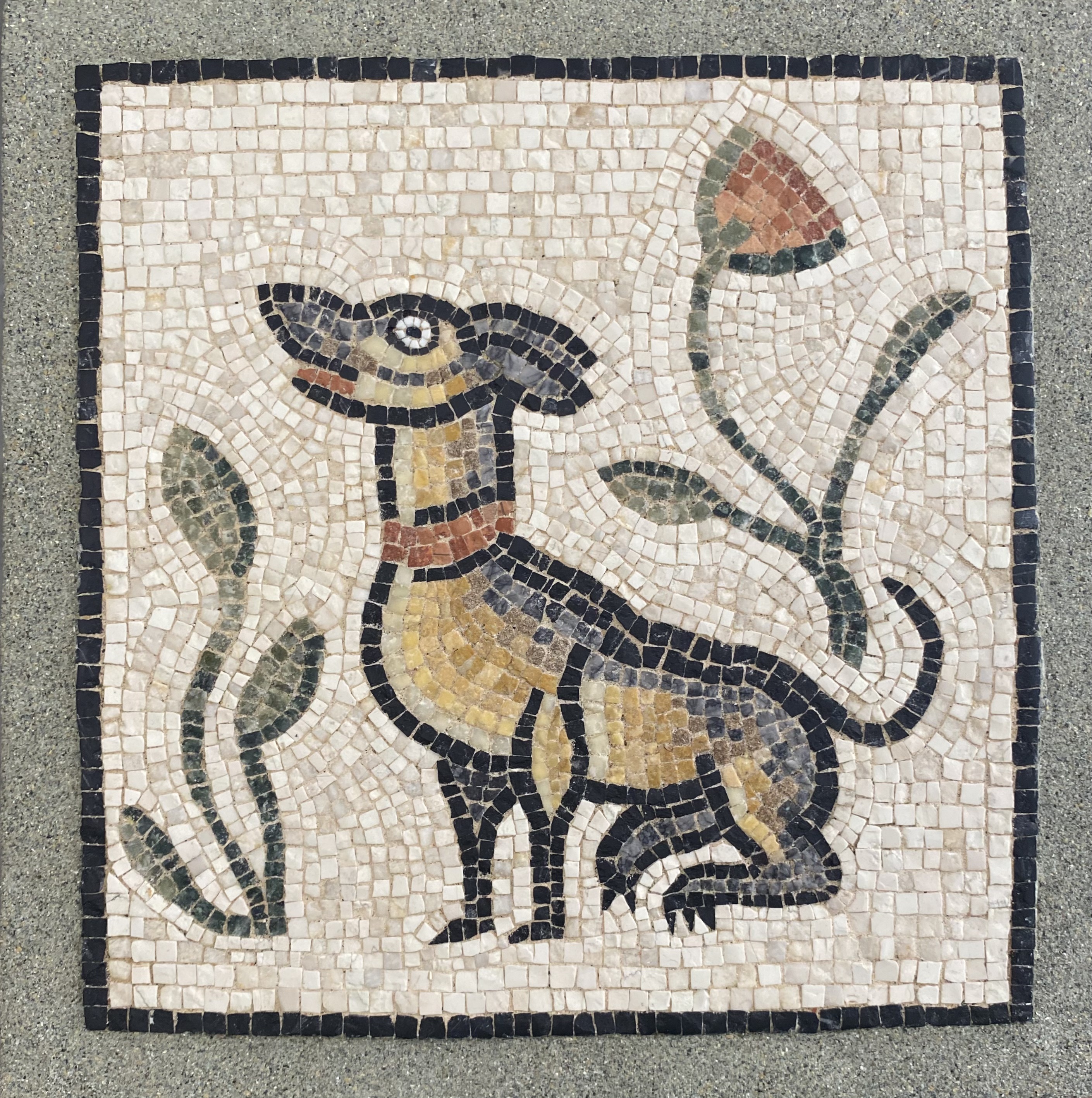 Cagnolino