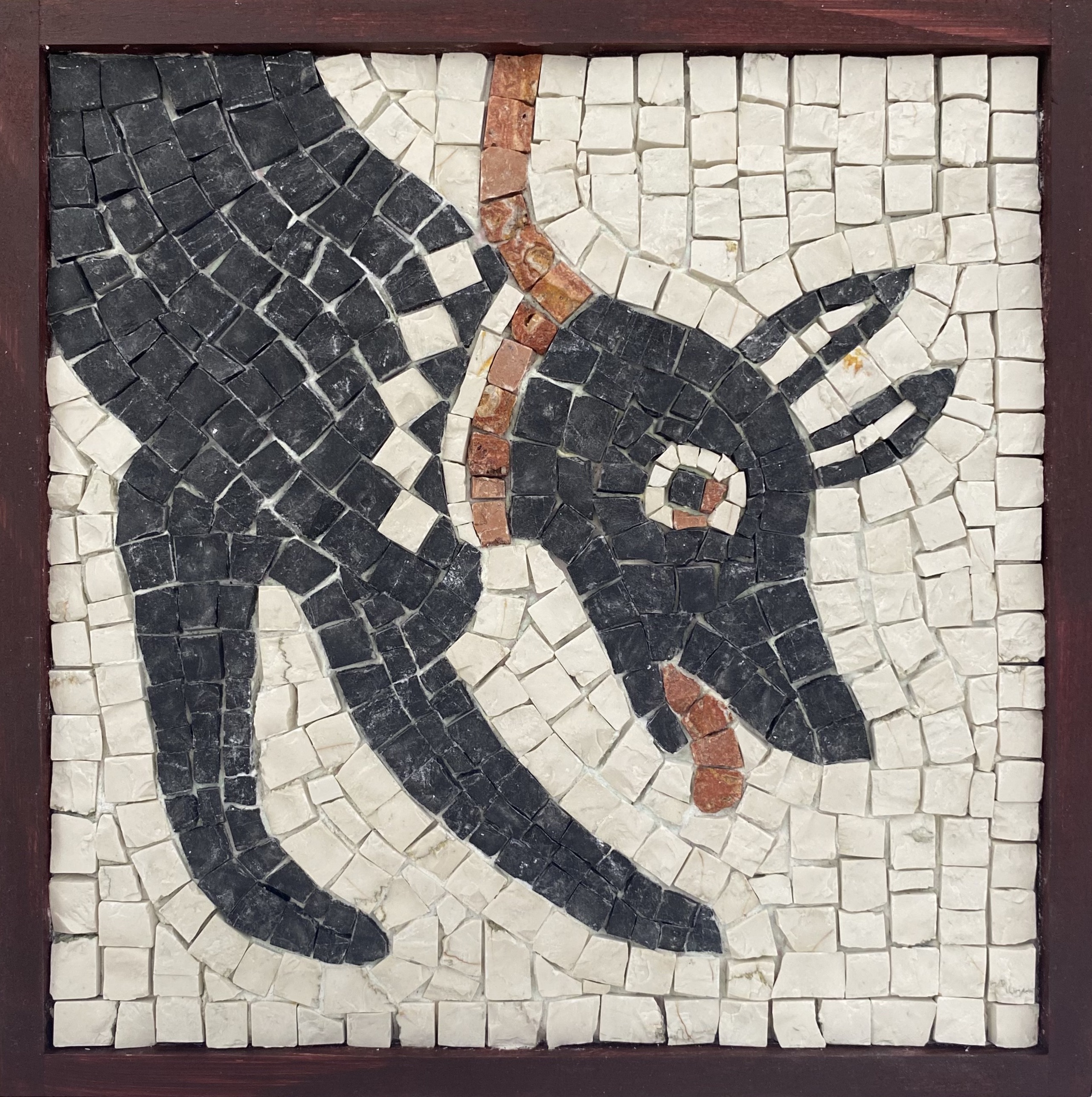 Cave canem