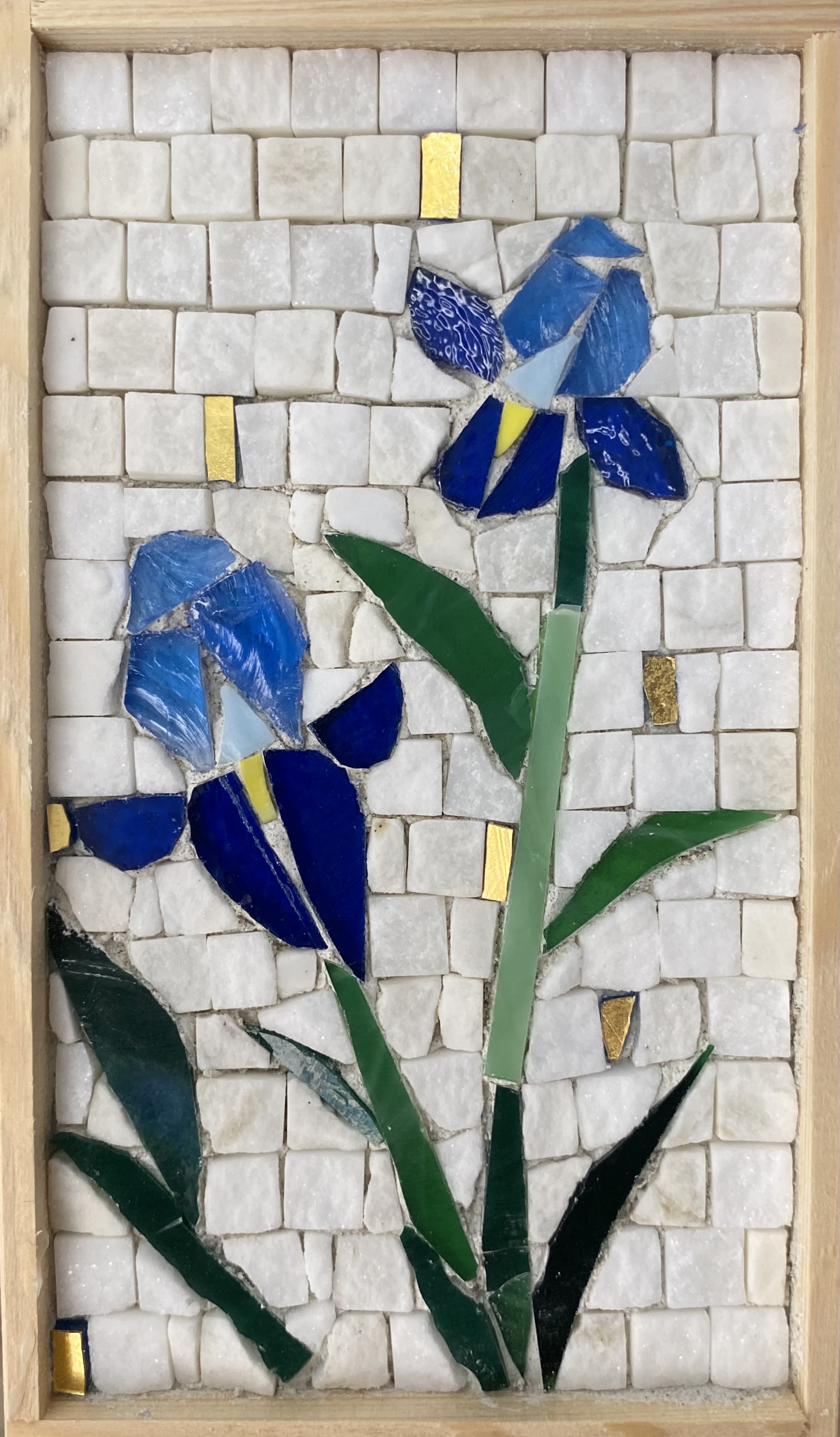 Iris